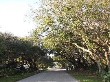 Ferienhaus in New Smyrna Beach (Florida) oder Ferienwohnung oder Ferienhaus
