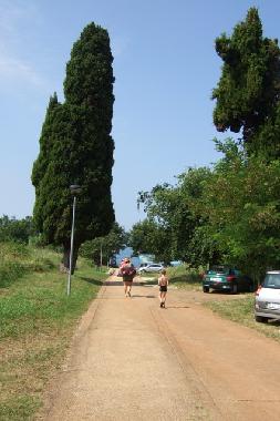 Ferienwohnung in Novigrad - Istrien (Istarska) oder Ferienwohnung oder Ferienhaus