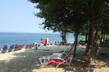 Ferienwohnung in Novigrad - Istrien (Istarska) oder Ferienwohnung oder Ferienhaus