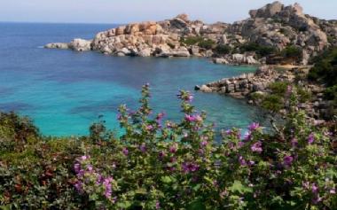 Ferienwohnung in santa teresa  (Olbia-Tempio) oder Ferienwohnung oder Ferienhaus