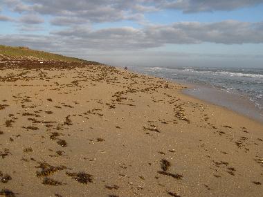 Ferienhaus in New Smyrna Beach (Florida) oder Ferienwohnung oder Ferienhaus