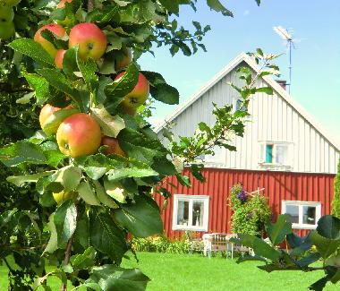 Ferienhaus in Holsbybrunn (Smaland) oder Ferienwohnung oder Ferienhaus