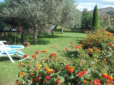Ferienhaus in Baja Sardinia (Sassari) oder Ferienwohnung oder Ferienhaus
