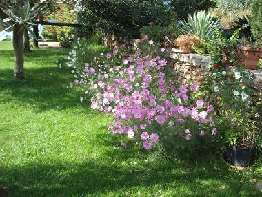 Ferienhaus in Baja Sardinia (Sassari) oder Ferienwohnung oder Ferienhaus