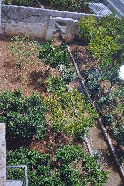 Ferienwohnung in Ostuni (Brindisi) oder Ferienwohnung oder Ferienhaus