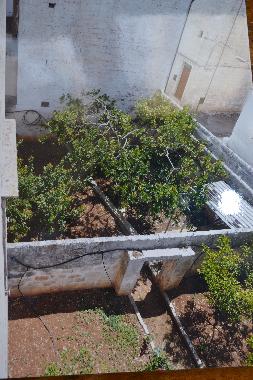 Ferienwohnung in Ostuni (Brindisi) oder Ferienwohnung oder Ferienhaus