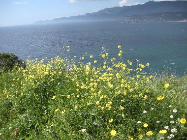 Ferienwohnung in Tresnuraghes (Oristano) (Oristano) oder Ferienwohnung oder Ferienhaus