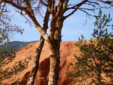 Wanderung in den Okerfelsen bei Rustrel