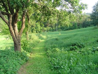 Ferienhaus in Piana Crixia (SV) (Savona) oder Ferienwohnung oder Ferienhaus
