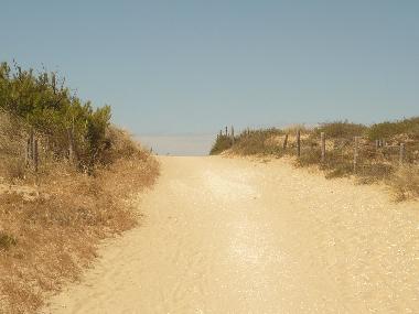 Ferienhaus in La tremblade (Charente-Maritime) oder Ferienwohnung oder Ferienhaus