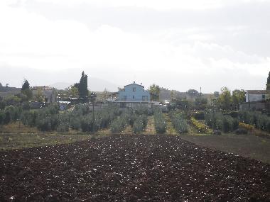 Pension in 200 (Grosseto) oder Ferienwohnung oder Ferienhaus