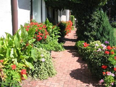 Pension in Leba (Pomorskie) oder Ferienwohnung oder Ferienhaus