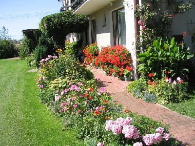 Pension in Leba (Pomorskie) oder Ferienwohnung oder Ferienhaus