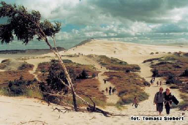 Pension in Leba (Pomorskie) oder Ferienwohnung oder Ferienhaus