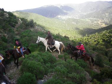 Pension in Fluminimaggiore (Carbonia-Iglesias) oder Ferienwohnung oder Ferienhaus