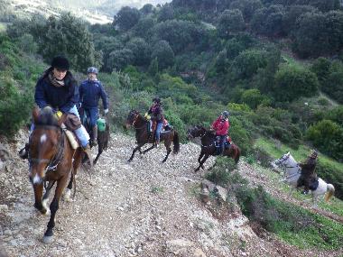 Pension in Fluminimaggiore (Carbonia-Iglesias) oder Ferienwohnung oder Ferienhaus