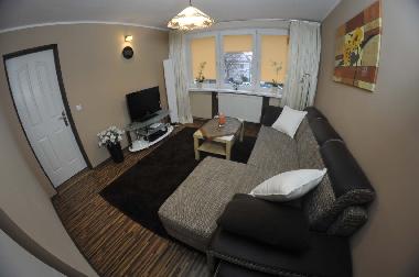 TV-Zimmer mit Schlafsofa