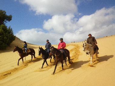 Pension in Fluminimaggiore (Carbonia-Iglesias) oder Ferienwohnung oder Ferienhaus