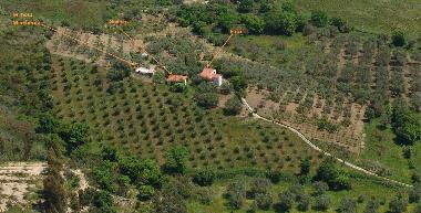 Ferienhaus in Ascea (Salerno) oder Ferienwohnung oder Ferienhaus