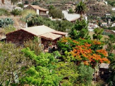 Ferienwohnung in aguimes (Gran Canaria) oder Ferienwohnung oder Ferienhaus