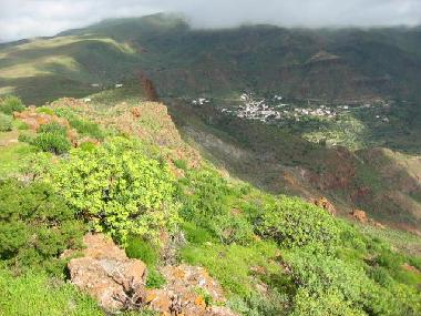 Ferienwohnung in aguimes (Gran Canaria) oder Ferienwohnung oder Ferienhaus