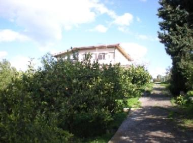Ferienhaus in Campofelice Roccella (Palermo) oder Ferienwohnung oder Ferienhaus