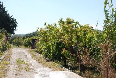 Ferienhaus in Campofelice Roccella (Palermo) oder Ferienwohnung oder Ferienhaus