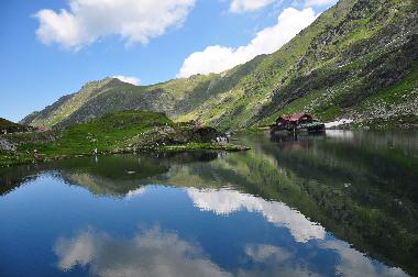 Chalet in Avrig  (Sibiu) oder Ferienwohnung oder Ferienhaus