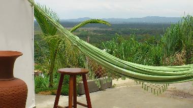 Haven f�r V�gel und Affen