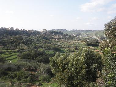 Ferienhaus in Xaghra (Malta) oder Ferienwohnung oder Ferienhaus