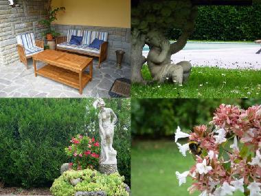 Ferienwohnung in Capolona (Arezzo) oder Ferienwohnung oder Ferienhaus