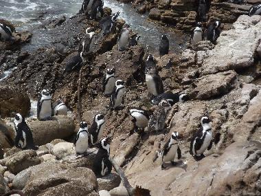 30 km zur Pinguinkolonie
