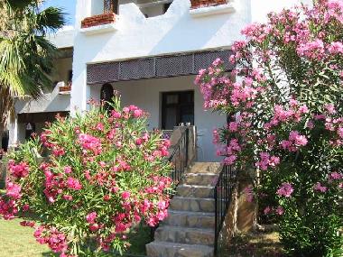 Ferienwohnung in Palamutbk (Mugla) oder Ferienwohnung oder Ferienhaus