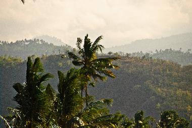 Die Landschaft hinter dem Hauptgeb�ude, vom Balkon aus gesehen.
