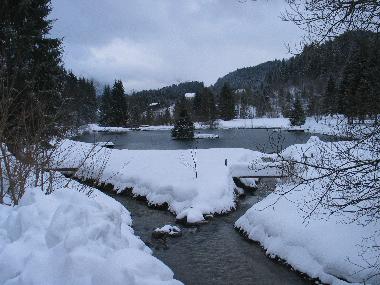 Dorfsee im Winter