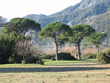 Pension in Cirali (Antalya) oder Ferienwohnung oder Ferienhaus