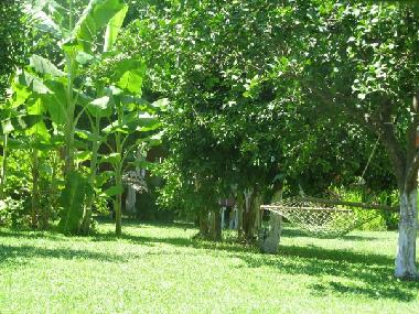 Pension in Cirali (Antalya) oder Ferienwohnung oder Ferienhaus