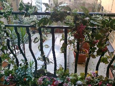 Ferienwohnung in rome (Rom) oder Ferienwohnung oder Ferienhaus