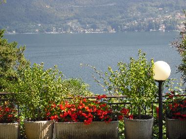 Ferienwohnung in Limonta - oliveto lario (Lecco) oder Ferienwohnung oder Ferienhaus