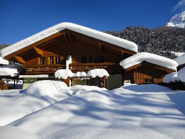 Ferienhaus in Kleinarl (Pinzgau-Pongau) oder Ferienwohnung oder Ferienhaus
