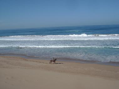 Villa in Sidi Boulfdail (Agadir) oder Ferienwohnung oder Ferienhaus