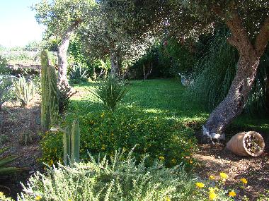 Ferienhaus in Cava d
