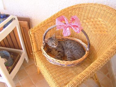 Ferienhaus in Cava d