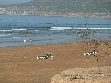Ferienhaus in Tamraght (Agadir) oder Ferienwohnung oder Ferienhaus