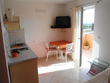 Ferienwohnung in Novigrad - Istrien (Istarska) oder Ferienwohnung oder Ferienhaus