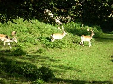 Tierpark Rosegg, ca. 18 km