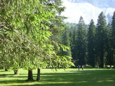 Die Mrchenwiese, ca. 25 km