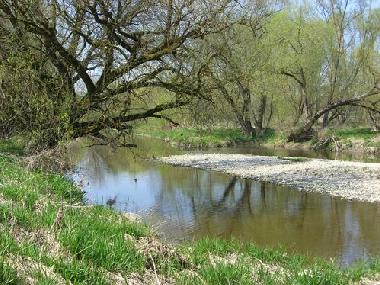 die Rott flie�t an Bayerbach vorbei