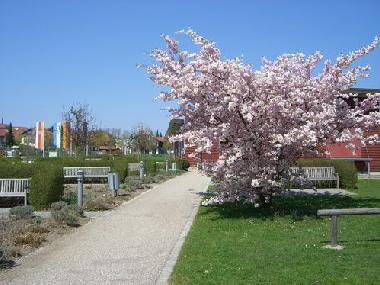 Fr�hling in Bad Birnbach