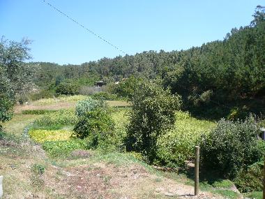 Ferienhaus in vila da cova alva (Serra da Estrela) oder Ferienwohnung oder Ferienhaus